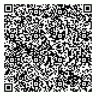 vCard 79138283279