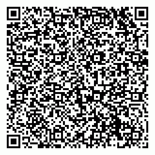 vCard 79138283286