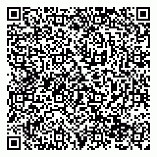 vCard 79138283293