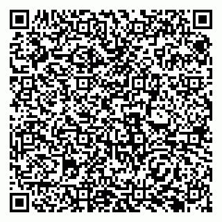 vCard 79138283294