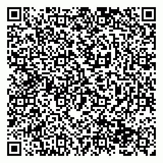 vCard 79138283301