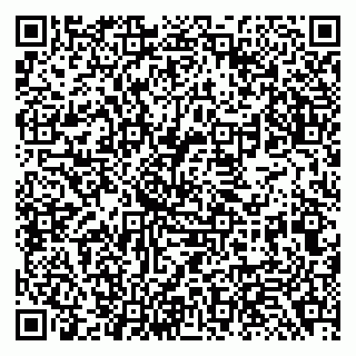 vCard 79138283303