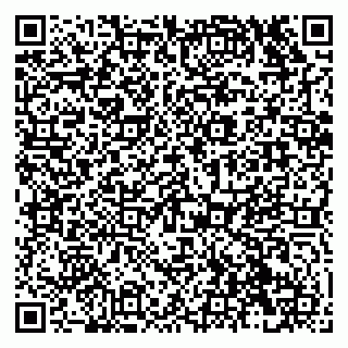 vCard 79138283402