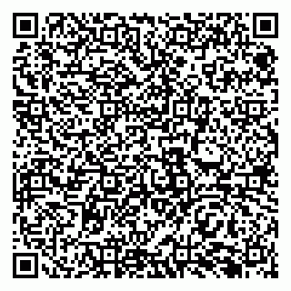 vCard 79138283453