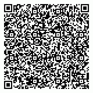 vCard 79138283602