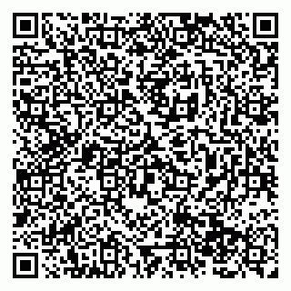 vCard 79138283603