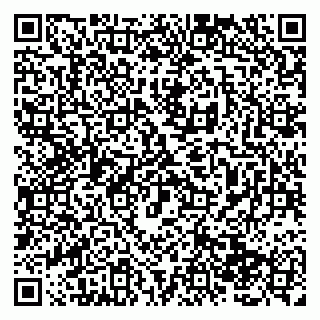vCard 79138283733