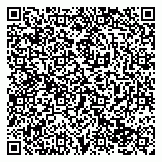 vCard 79138283753