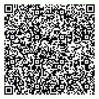 vCard 79138284012