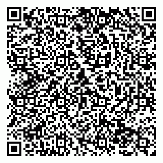 vCard 79138284045