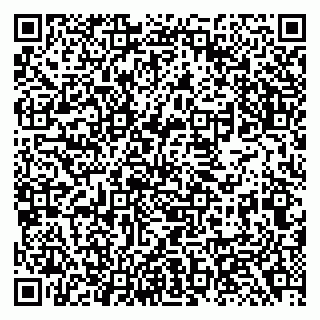 vCard 79138284131