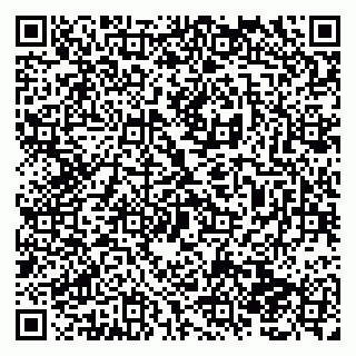 vCard 79138284136