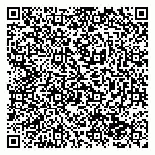 vCard 79138284158