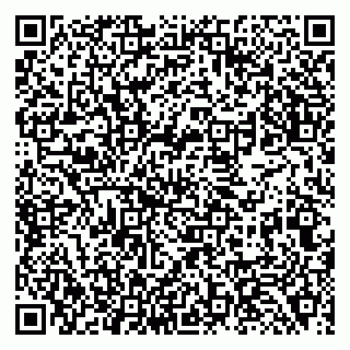 vCard 79138284201