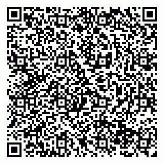 vCard 79138284231