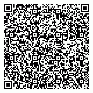 vCard 79138284239