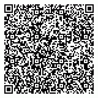 vCard 79138284293