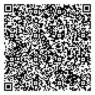 vCard 79138284302