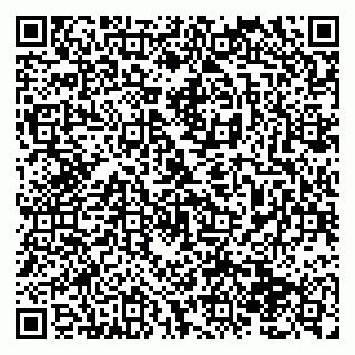 vCard 79138284303