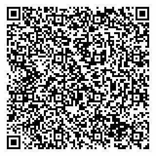 vCard 79138284356