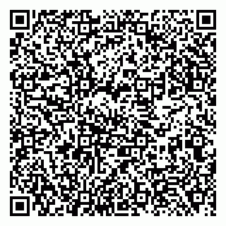 vCard 79138284385