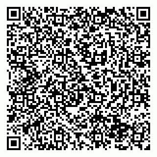vCard 79138284397
