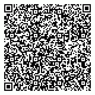 vCard 79138284402