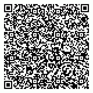 vCard 79138284615