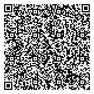 vCard 79138284643