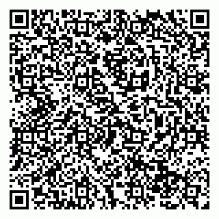 vCard 79138284653