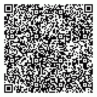 vCard 79138284697
