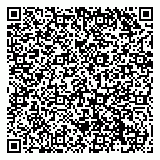 vCard 79138284698