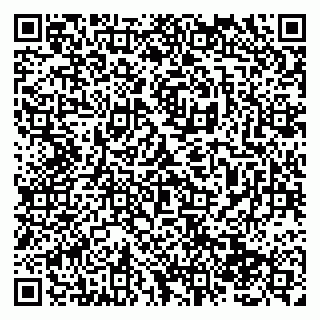 vCard 79138284751