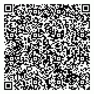 vCard 79138285201