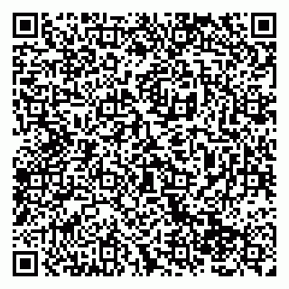 vCard 79138285261