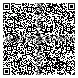 vCard 79138285262