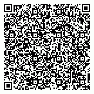 vCard 79138285263
