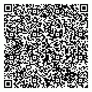 vCard 79138285271