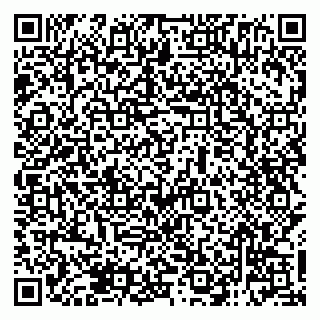 vCard 79138285276