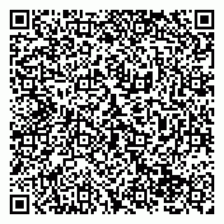 vCard 79138285282