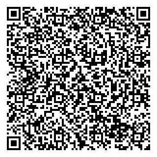 vCard 79138285293