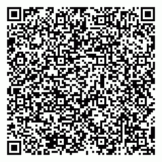vCard 79138285294