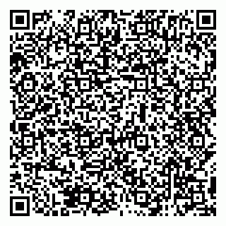 vCard 79138285296