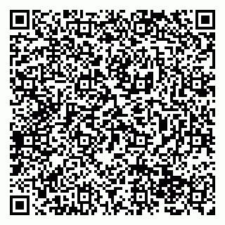 vCard 79138285299