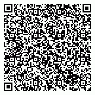 vCard 79138285306