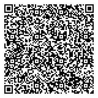 vCard 79138285337