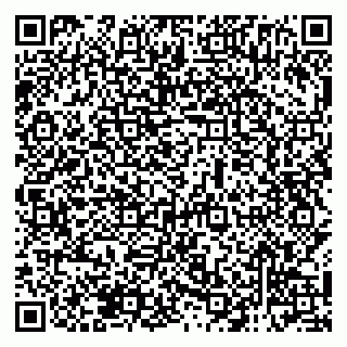 vCard 79138285341
