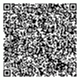 vCard 79138285352