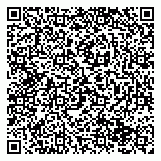 vCard 79138285355