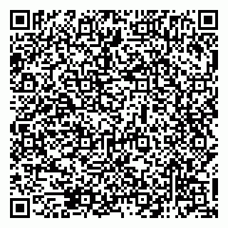 vCard 79138285372